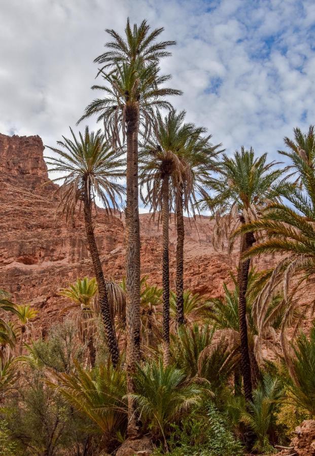 Auberge Kasbah Chez Amaliya Tafraout Exteriör bild
