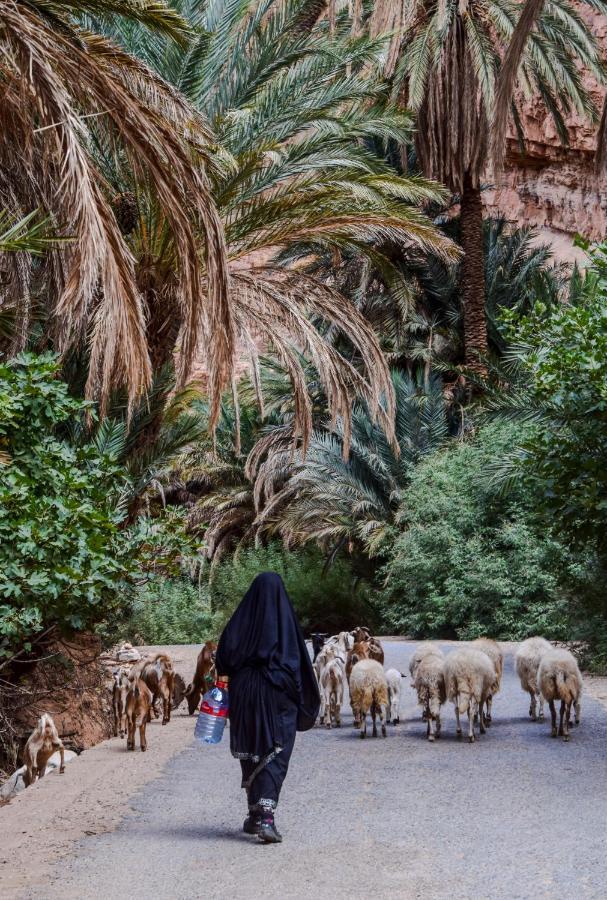 Auberge Kasbah Chez Amaliya Tafraout Exteriör bild